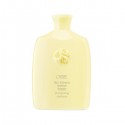 ORIBE Šampon Hair Alchemy Resilience Shampoo, 250 ml